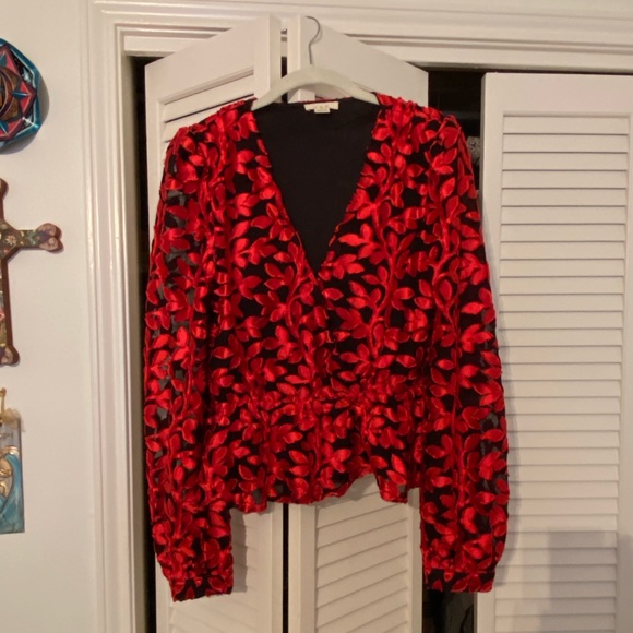 Burnout Velvet Blouse - Picture 1 of 3